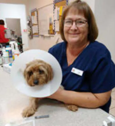 Lori with small dog wearing a cone around its head